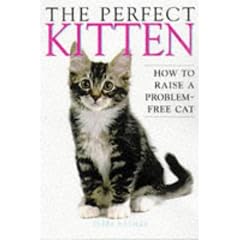The Perfect Kitten