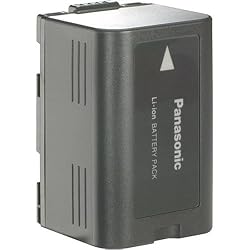 Panasonic CGR-D16A/1B 3-Hour Lithium Ion Battery for PV-DV53 & DV73 Camcorders