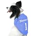 North Carolina Tar Heels #1 Sky Blue Dog Football Jersey