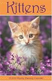 Kittens 2009 Weekly Planner 993005