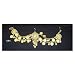 Belly Dance Bra Drape, Brass, Coins