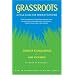 Grassroots: A Field Guide for Feminist Activism