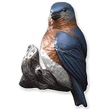 Bluebird Coat Hook
