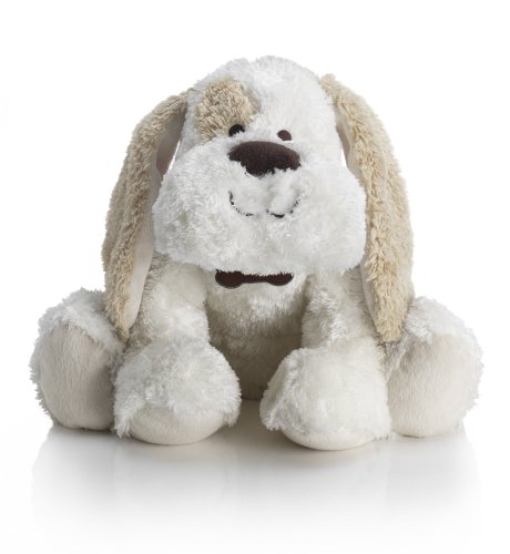 Medium Dylan the Dog