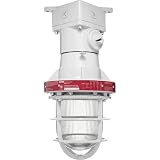 Explosionproof Incan Ceiling Guard 4 Hubs 1-2