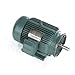 Leeson Electric 170167.60 - General Purpose Motor - 3 ph, 10 hp, 1800 rpm, 208-230/460 V, 215TC Frame, Totally Enclosed Fan Cooled Enclosure, 60 Hz, Rigid base Mount