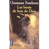 Les bouts de bois de Dieu