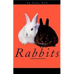 Rabbits in Your Life