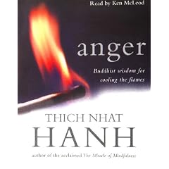 Anger: Buddhist Wisdom for Cooling the Flames