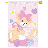 Its a Girl Decorative Banner
