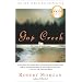 find a good book group pick