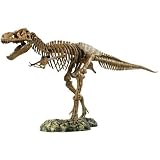 Elenco Science Tech T-Rex Skeleton 36" Scale Replica Model