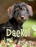 Dackel 2011 / Dachshunds 2011 / Teckels 2011