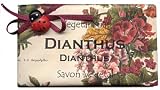 Alchimia Ladybug Natural Dianthus Large Moisturizing Soap From Italy