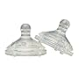 Natural Touch No Spill Breast Size Nipple, Fast Flow, 2 Pack