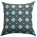 Imagine Throw Pillows