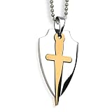 Stainless Steel 2-Piece Sword & Shield Pendant with Gold Plating on 24 Inch Chain