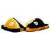 Pittsburgh Steelers NFL Himo Ball Slippers