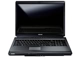 Toshiba Satellite L350-203 17-inch Laptop, Intel Pentium Dual Core T3400, 2.16GHz, 2GB RAM, 160GB HDD, Vista Home Premium