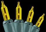 Set of 100 Amber Everglow Mini Christmas Lights With Green Wire