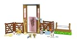 Barbie Dream Stable Playset