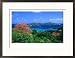 Trees with Red Blossoms and Little Tobago Island, Speyside, Trinidad & Tobago Framed Photographic Poster Print by Michael Lawrence, 29x21