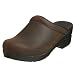Dansko Women's Sonja Oiled Leather Clog