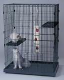 Large Cat Domain with Plastic Base
