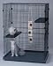 Large Cat Domain with Plastic Base