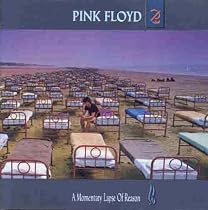 A Momentary Lapse of Reason