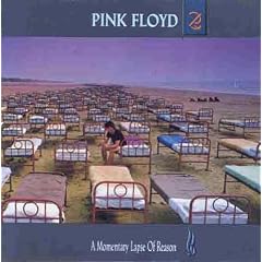 A Momentary Lapse of Reason
