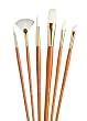 Princeton Brush W/Taklon Round 2, 6 F 10 Ang 4 Filbert 4 Fn 2