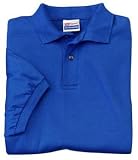 Hanes StayClean - 56-Ounce Jersey Knit Sport Shirt Royal-4XL