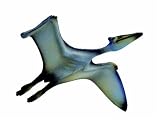 Review Schleich 14506 / Schleich Quetzalcoatlus