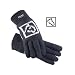 SSG Winter Barn Gloves