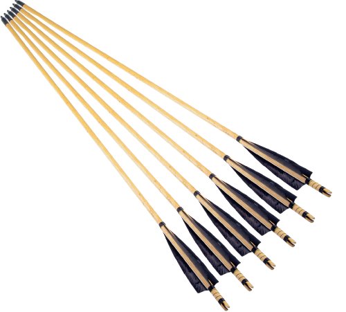  NuoYa005 New 31.49 inch Handmade White IRON+Wooden Archery Arrows Shaft Feathers for Bow pack of 6 