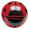 Ladybug Ball