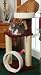 Cats Hoop, Platform & Nest : Color PINE : Size ONE SIZE