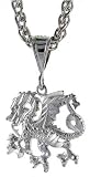 Sterling Silver 1 (25 mm) Small Diamond Cut Dragon Pendant