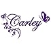 Butterfly & Flower Vine with Custom Personalized Name - Removable Vinyl Wall Art Decal Sticker Decor