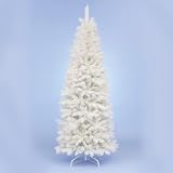 6ft White Rocky Mountain Christmas Tree