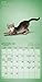 Yoga Kittens 18-Month 2015 Calendar