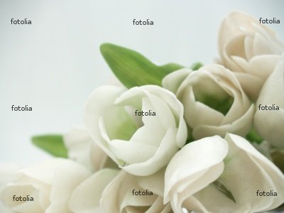 Cheap Wedding Bouquets Online on Wedding Bouquets Best Discount Price Cheap Wedding Bouquets Online