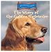 The Story of the Golden Retriever (Dogs Throughout History)