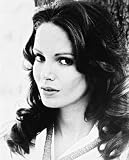 JACLYN SMITH 11X14 B&W PHOTO