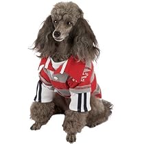 Companion Road Striped Double Layer Rugby Shirt Small