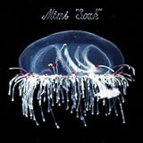 Review Mimi  / Soak