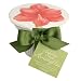 Holiday Star Red Amaryllis Pot Ready-To-Grow Bulb Set