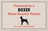 Protected by Boxer Home Security Designer Doormat