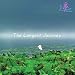 The Longest Journey picture